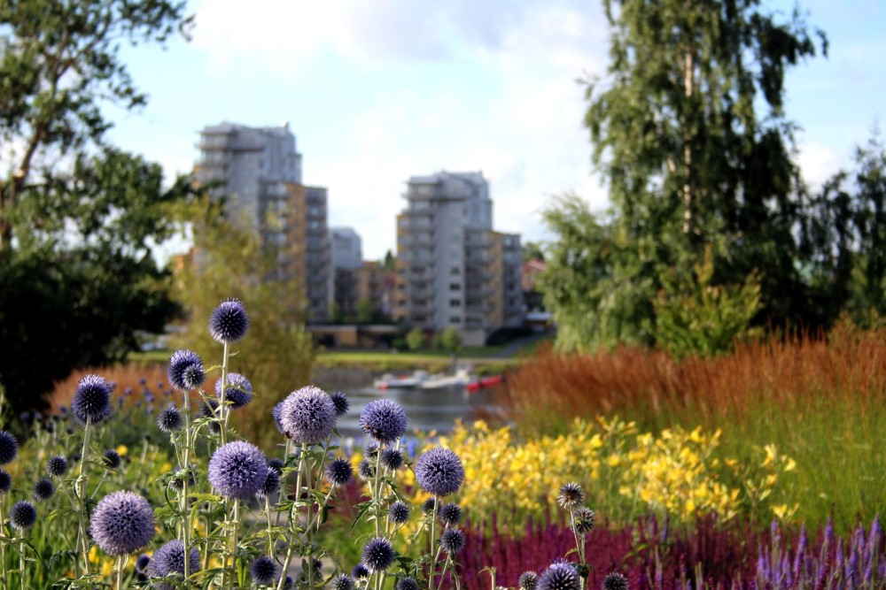 Umea_blommor_Olov_Haggstrom_UmeaKommun.jpg